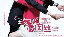 电视剧玫瑰炒肉丝,穿越时空的美食传奇