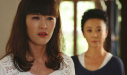 电视剧婆媳的战国时代,宫廷权谋与情感纠葛的较量