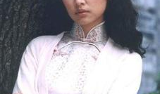 林心如演的电视剧,穿越时空的美丽传奇